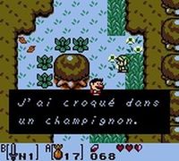 une photo d'Ã©cran de The Legend of Zelda - Link s Awakening DX sur Nintendo Game Boy Color